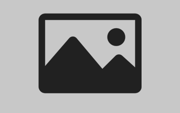 Votação para projeto ADARSOL no âmbito do Programa Bairro Feliz do Pingo Doce